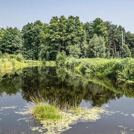 Sophie Lekawica (Kozienice)